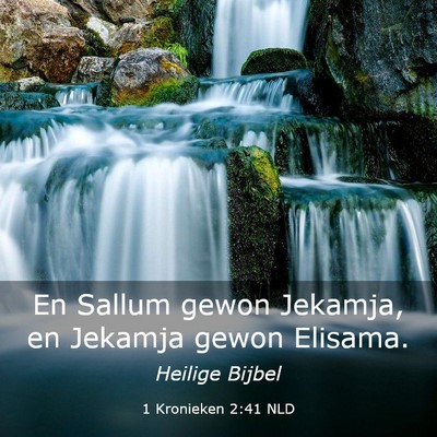 Picture 03 - 1 Kronieken 2:41 NLD - En Sallum gewon Jekamja, en Jekamja gewon - Bible Verse Picture