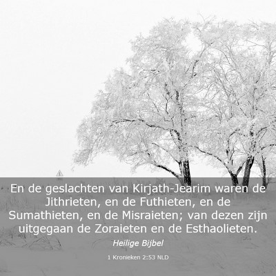 Picture 03 - 1 Kronieken 2:53 NLD - En de geslachten van Kirjath-Jearim waren de - Bible Verse Picture