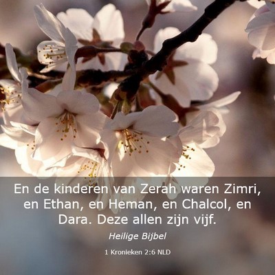 Picture 03 - 1 Kronieken 2:6 NLD - En de kinderen van Zerah waren Zimri, en Ethan, - Bible Verse Picture