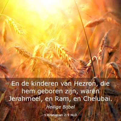 Picture 03 - 1 Kronieken 2:9 NLD - En de kinderen van Hezron, die hem geboren zijn, - Bible Verse Picture