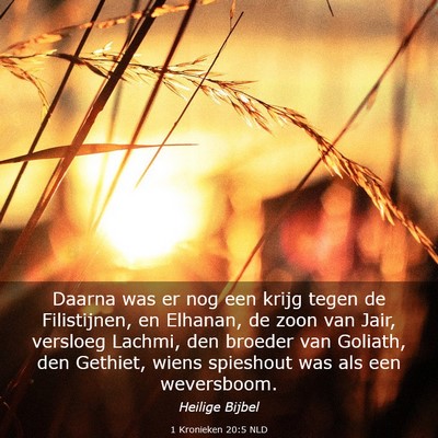 Picture 03 - 1 Kronieken 20:5 NLD - Daarna was er nog een krijg tegen de Filistijnen, - Bible Verse Picture