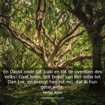 Picture 03 - 1 Kronieken 21:2 NLD - En David zeide tot Joab en tot de oversten des - Bible Verse Picture