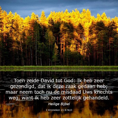 Picture 03 - 1 Kronieken 21:8 NLD - Toen zeide David tot God: Ik heb zeer gezondigd, - Bible Verse Picture