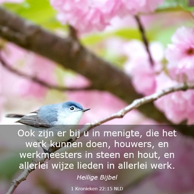 Picture 03 - 1 Kronieken 22:15 NLD - Ook zijn er bij u in menigte, die het werk kunnen - Bible Verse Picture