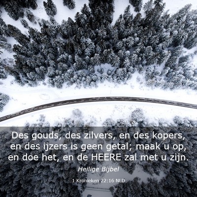Picture 03 - 1 Kronieken 22:16 NLD - Des gouds, des zilvers, en des kopers, en des - Bible Verse Picture