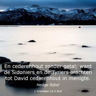 Picture 03 - 1 Kronieken 22:4 NLD - En cederenhout zonder getal; want de Sidoniers en - Bible Verse Picture
