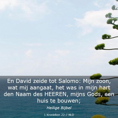 Picture 03 - 1 Kronieken 22:7 NLD - En David zeide tot Salomo: Mijn zoon, wat mij - Bible Verse Picture