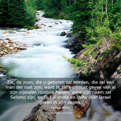 Picture 03 - 1 Kronieken 22:9 NLD - Zie, de zoon, die u geboren zal worden, die zal - Bible Verse Picture
