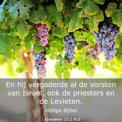 Picture 03 - 1 Kronieken 23:2 NLD - En hij vergaderde al de vorsten van Israel, ook - Bible Verse Picture