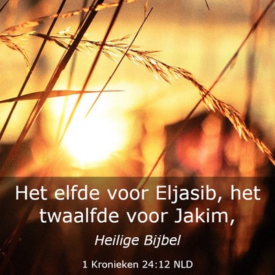 Picture 03 - 1 Kronieken 24:12 NLD - Het elfde voor Eljasib, het twaalfde voor - Bible Verse Picture