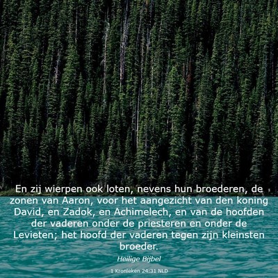 Picture 03 - 1 Kronieken 24:31 NLD - En zij wierpen ook loten, nevens hun broederen, - Bible Verse Picture