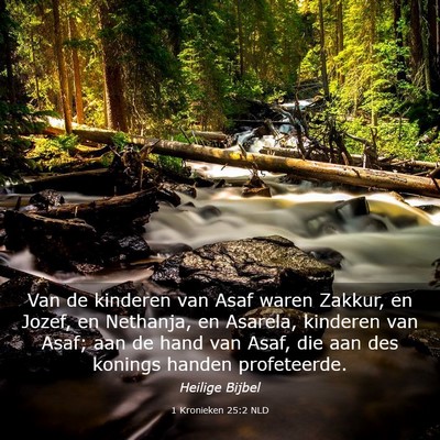 Picture 03 - 1 Kronieken 25:2 NLD - Van de kinderen van Asaf waren Zakkur, en Jozef, - Bible Verse Picture