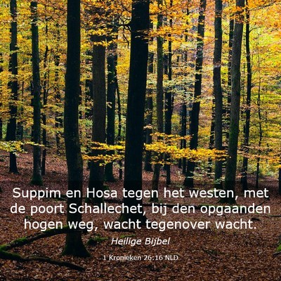 Picture 03 - 1 Kronieken 26:16 NLD - Suppim en Hosa tegen het westen, met de poort - Bible Verse Picture