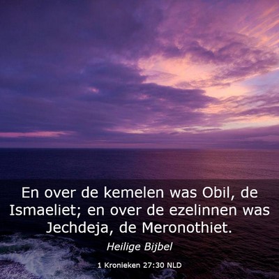 Picture 03 - 1 Kronieken 27:30 NLD - En over de kemelen was Obil, de Ismaeliet; en - Bible Verse Picture