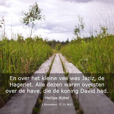 Picture 03 - 1 Kronieken 27:31 NLD - En over het kleine vee was Jaziz, de Hageriet. - Bible Verse Picture