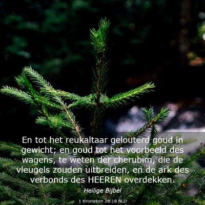 Picture 03 - 1 Kronieken 28:18 NLD - En tot het reukaltaar gelouterd goud in gewicht; - Bible Verse Picture
