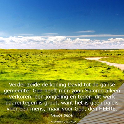 Picture 03 - 1 Kronieken 29:1 NLD - Verder zeide de koning David tot de ganse - Bible Verse Picture