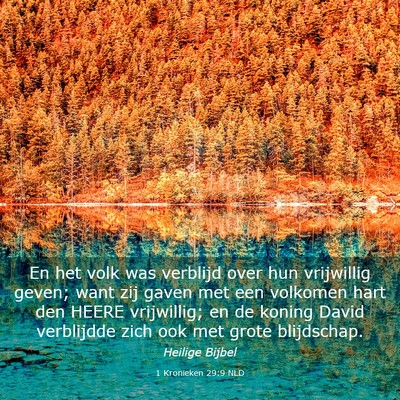 Picture 03 - 1 Kronieken 29:9 NLD - En het volk was verblijd over hun vrijwillig - Bible Verse Picture