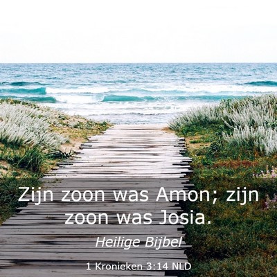 Picture 03 - 1 Kronieken 3:14 NLD - Zijn zoon was Amon; zijn zoon was - Bible Verse Picture