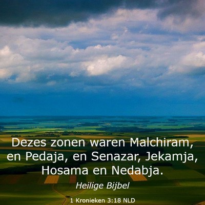 Picture 03 - 1 Kronieken 3:18 NLD - Dezes zonen waren Malchiram, en Pedaja, en - Bible Verse Picture