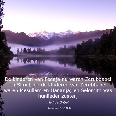 Picture 03 - 1 Kronieken 3:19 NLD - De kinderen van Pedaja nu waren Zerubbabel en - Bible Verse Picture