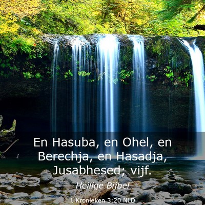 Picture 03 - 1 Kronieken 3:20 NLD - En Hasuba, en Ohel, en Berechja, en Hasadja, - Bible Verse Picture