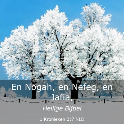 Picture 03 - 1 Kronieken 3:7 NLD - En Nogah, en Nefeg, en - Bible Verse Picture