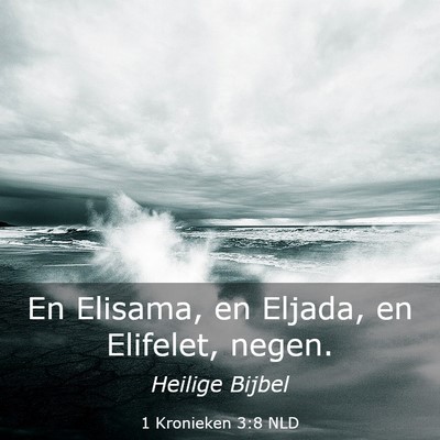 Picture 03 - 1 Kronieken 3:8 NLD - En Elisama, en Eljada, en Elifelet, - Bible Verse Picture