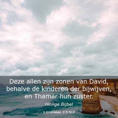 Picture 03 - 1 Kronieken 3:9 NLD - Deze allen zijn zonen van David, behalve de - Bible Verse Picture