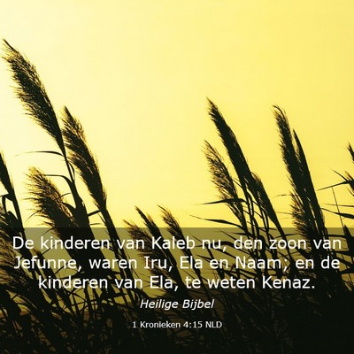 Picture 03 - 1 Kronieken 4:15 NLD - De kinderen van Kaleb nu, den zoon van Jefunne, - Bible Verse Picture