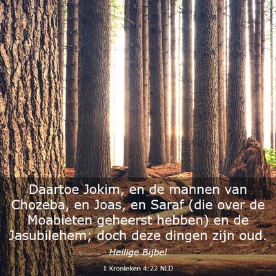 Picture 03 - 1 Kronieken 4:22 NLD - Daartoe Jokim, en de mannen van Chozeba, en Joas, - Bible Verse Picture
