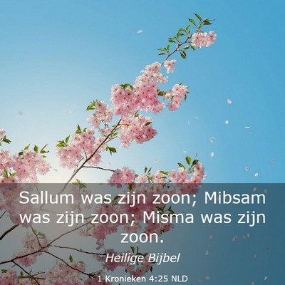 Picture 03 - 1 Kronieken 4:25 NLD - Sallum was zijn zoon; Mibsam was zijn zoon; Misma - Bible Verse Picture