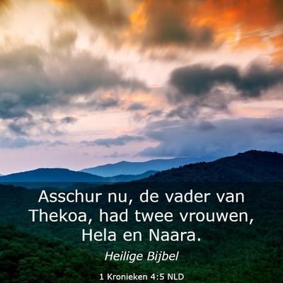 Picture 03 - 1 Kronieken 4:5 NLD - Asschur nu, de vader van Thekoa, had twee - Bible Verse Picture