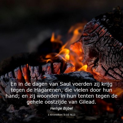 Picture 03 - 1 Kronieken 5:10 NLD - En in de dagen van Saul voerden zij krijg tegen - Bible Verse Picture