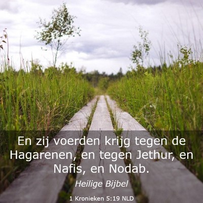Picture 03 - 1 Kronieken 5:19 NLD - En zij voerden krijg tegen de Hagarenen, en tegen - Bible Verse Picture