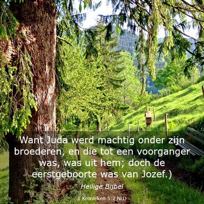 Picture 03 - 1 Kronieken 5:2 NLD - Want Juda werd machtig onder zijn broederen, en - Bible Verse Picture