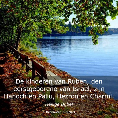 Picture 03 - 1 Kronieken 5:3 NLD - De kinderen van Ruben, den eerstgeborene van - Bible Verse Picture