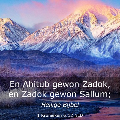 Picture 03 - 1 Kronieken 6:12 NLD - En Ahitub gewon Zadok, en Zadok gewon - Bible Verse Picture