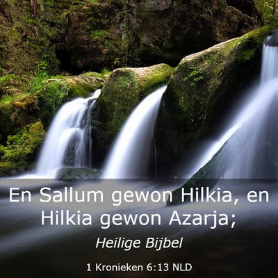 Picture 03 - 1 Kronieken 6:13 NLD - En Sallum gewon Hilkia, en Hilkia gewon - Bible Verse Picture