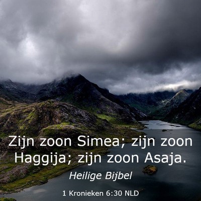 Picture 03 - 1 Kronieken 6:30 NLD - Zijn zoon Simea; zijn zoon Haggija; zijn zoon - Bible Verse Picture