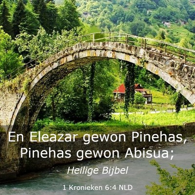 Picture 03 - 1 Kronieken 6:4 NLD - En Eleazar gewon Pinehas, Pinehas gewon - Bible Verse Picture