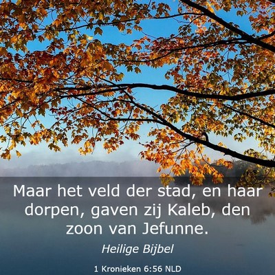 Picture 03 - 1 Kronieken 6:56 NLD - Maar het veld der stad, en haar dorpen, gaven zij - Bible Verse Picture