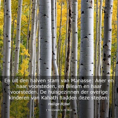 Picture 03 - 1 Kronieken 6:70 NLD - En uit den halven stam van Manasse: Aner en haar - Bible Verse Picture
