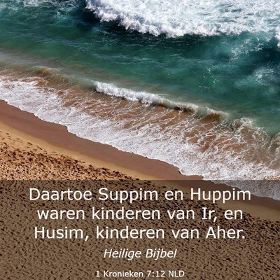 Picture 03 - 1 Kronieken 7:12 NLD - Daartoe Suppim en Huppim waren kinderen van Ir, - Bible Verse Picture