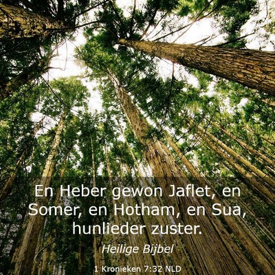 Picture 03 - 1 Kronieken 7:32 NLD - En Heber gewon Jaflet, en Somer, en Hotham, en - Bible Verse Picture