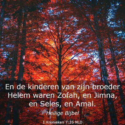 Picture 03 - 1 Kronieken 7:35 NLD - En de kinderen van zijn broeder Helem waren - Bible Verse Picture