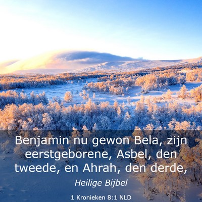 Picture 03 - 1 Kronieken 8:1 NLD - Benjamin nu gewon Bela, zijn eerstgeborene, - Bible Verse Picture