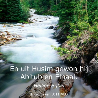 Picture 03 - 1 Kronieken 8:11 NLD - En uit Husim gewon hij Abitub en - Bible Verse Picture