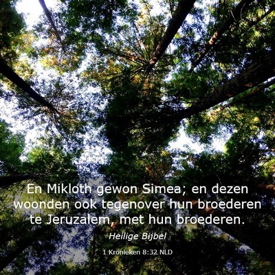 Picture 03 - 1 Kronieken 8:32 NLD - En Mikloth gewon Simea; en dezen woonden ook - Bible Verse Picture