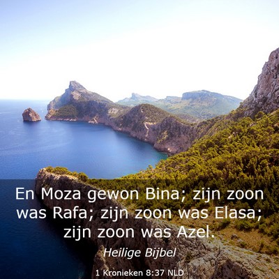Picture 03 - 1 Kronieken 8:37 NLD - En Moza gewon Bina; zijn zoon was Rafa; zijn zoon - Bible Verse Picture